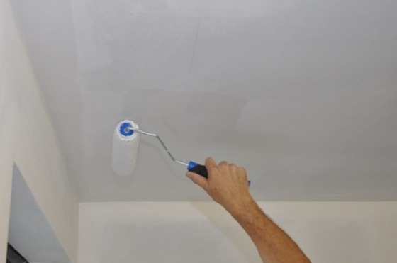 Peinture acrylique sans odeurs sans projections décoration murs pla
